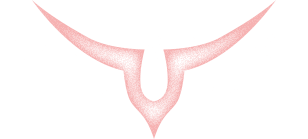 スペシャルコンテンツ